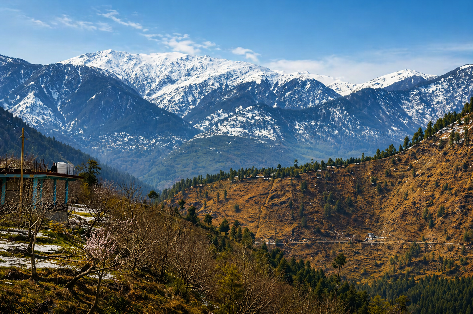 Wide Himalayan valley and snow peaks from Naggar