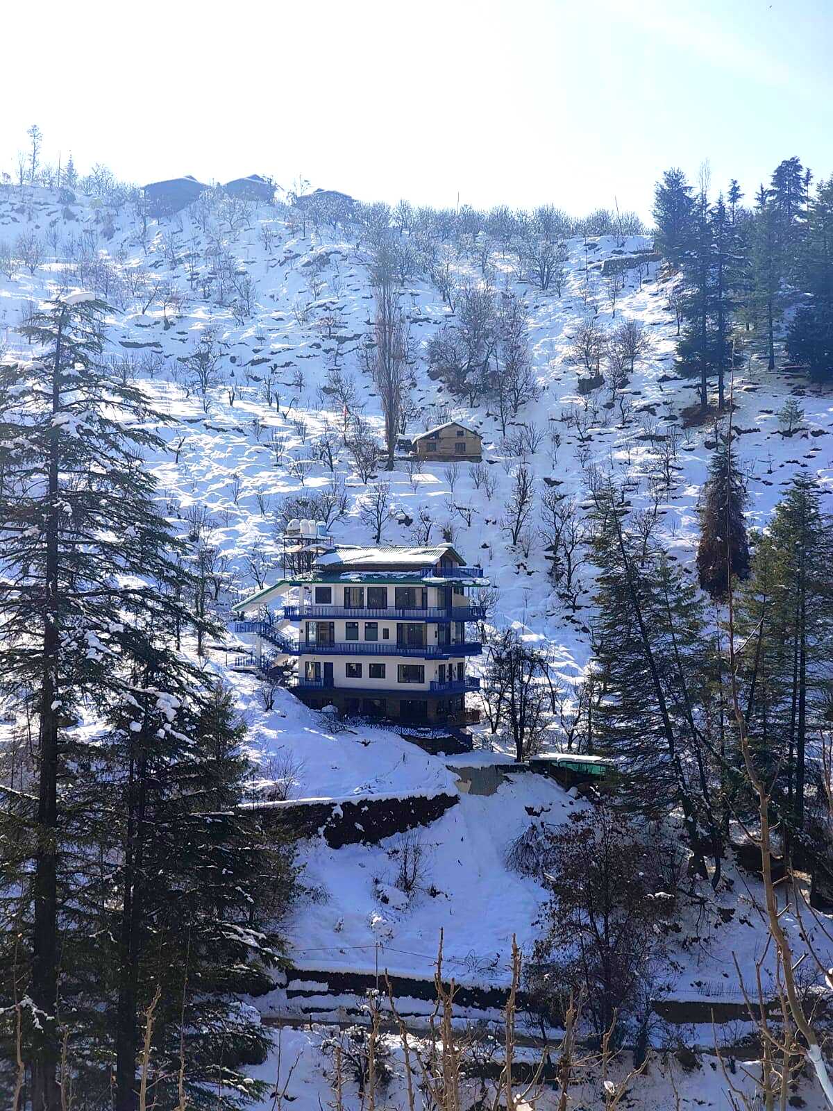 Curious Cat Cottage in winter