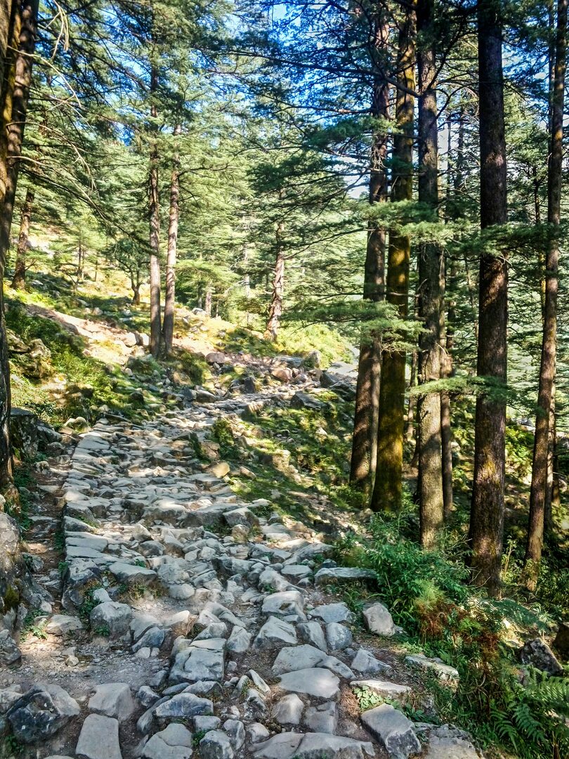 Stone trail through deodar forest above Naggar