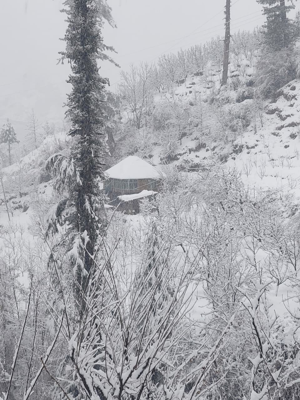 Cottage blanketed in fresh snowfall